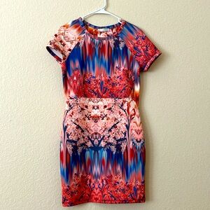 ZARA Scuba Dress S-M